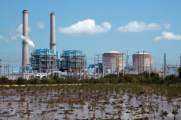 Florida Power & Light wants to slash it energy efficiency commitments, but spend $18 Billion on two new reactors at is hideous Turkey Point site near Miami.